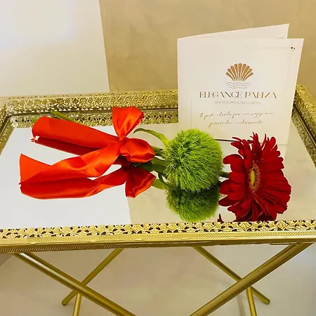 Bed & Breakfast Elegance Paema *