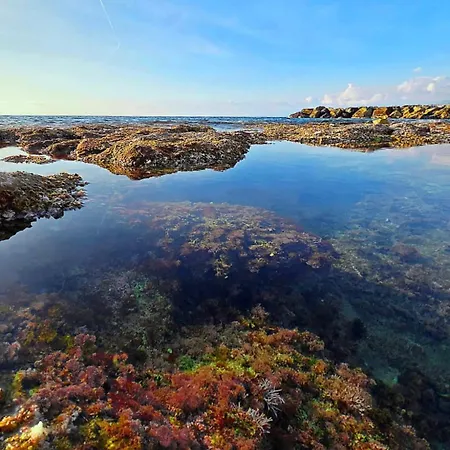 Oda ve Kahvaltı Elegance Paema, A 290mt Dalle Spiagge! 4*