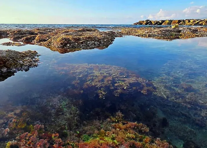 Couette-café Elegance Paema, A 290mt Dalle Spiagge! 4*